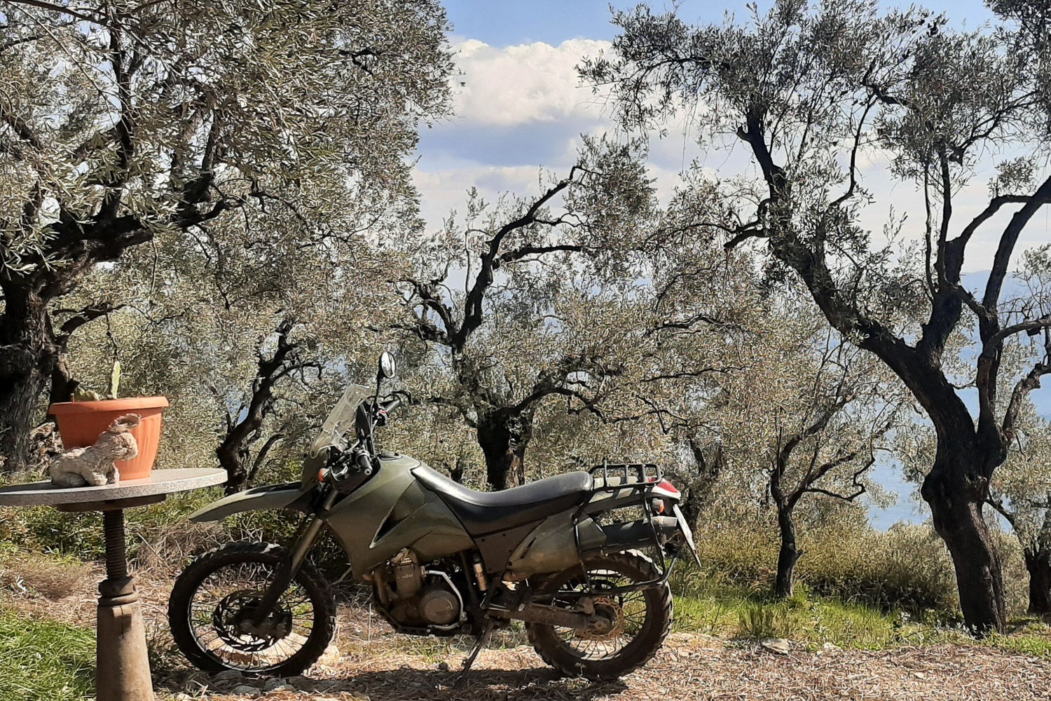 KTM vor Olivenbäumen